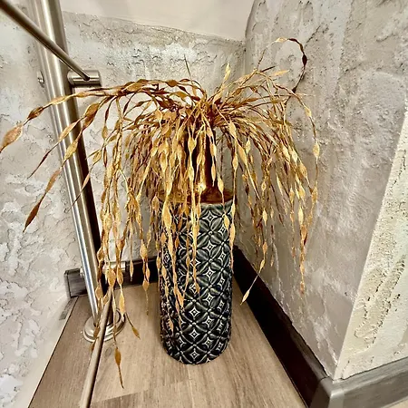 Country Haven Comfy & Sleek House 度假居 *